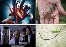 恐怖寄生虫游戏