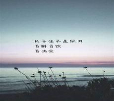 伤心文案图片