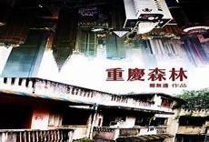 重庆森林豆瓣