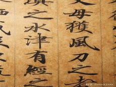 灵飞经乐之扬妻子